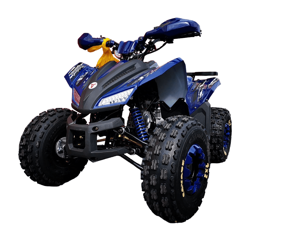 Квадроцикл MOTOLAND 125 Coyote PRO